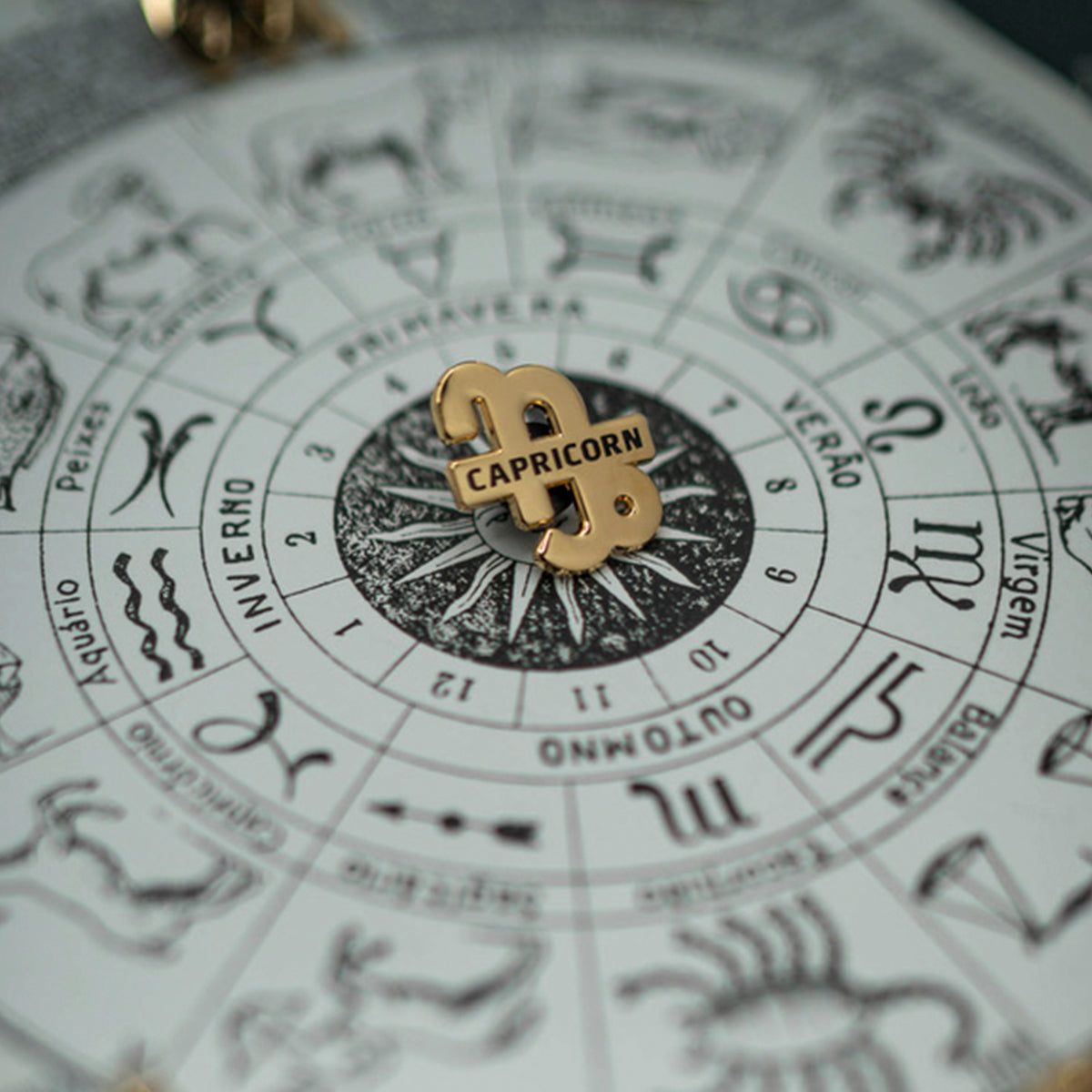 Capricorn Pin