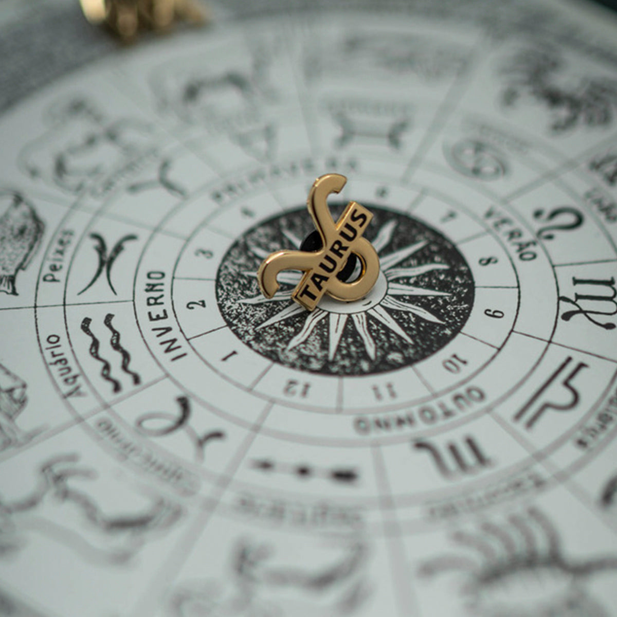 Taurus Pin
